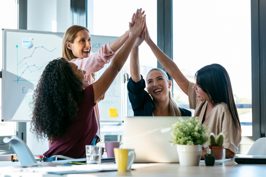 Distinciones y caracter&iacute;sticas de la pr&aacute;ctica del coaching ontol&oacute;gico